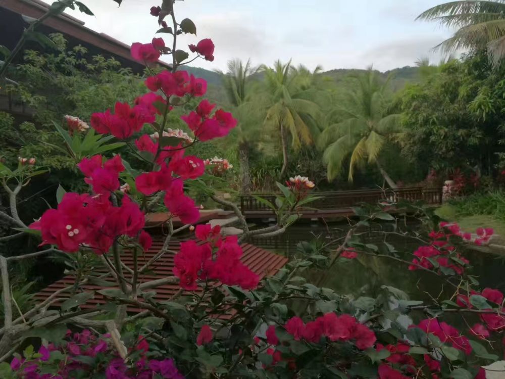 Stony Brook Villa Jiannguo Resort Sanya 4*