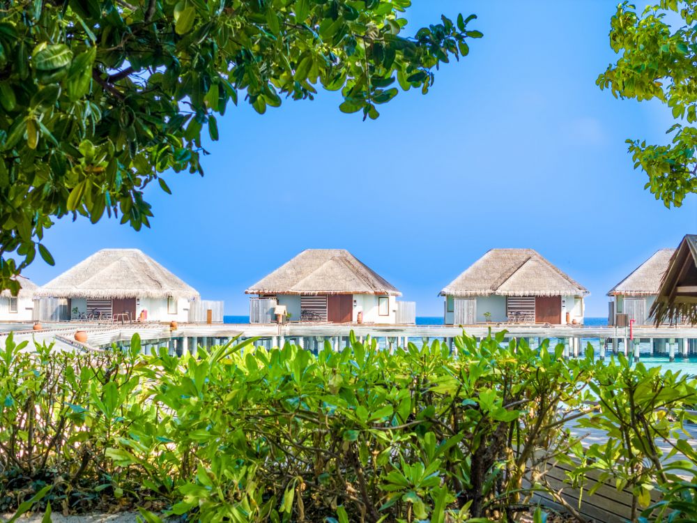 Dusit Thani Maldives 5*