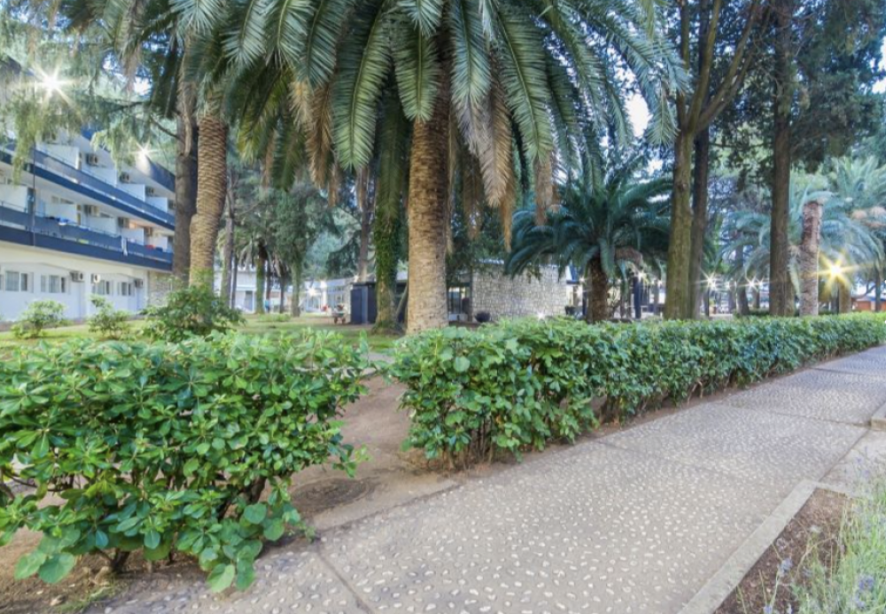 Park 3*