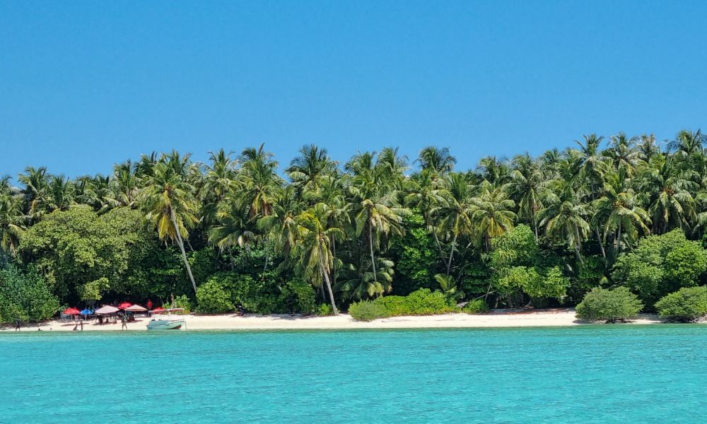 Island Luxury Hotel Fehendhoo 