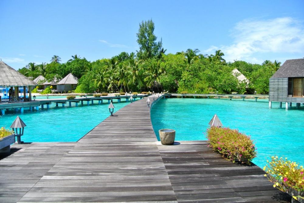 Gangehi Island Resort 5*