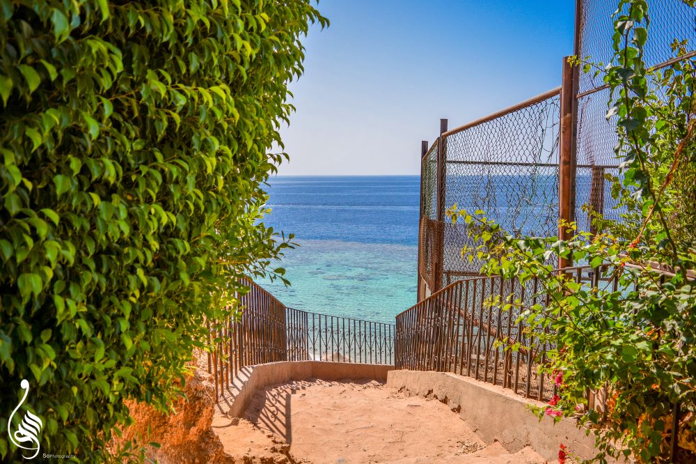 Dive Inn Resort 4*