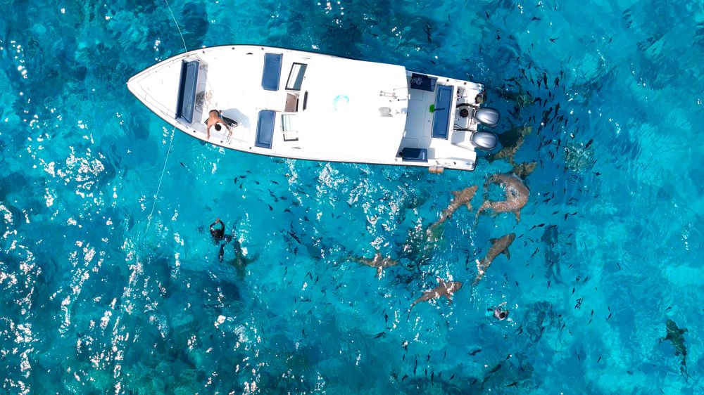H78 Guraidhoo 4*