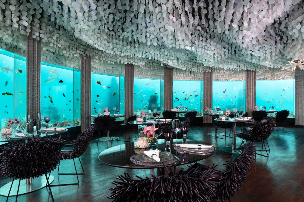 Niyama Private Island Maldives 5*