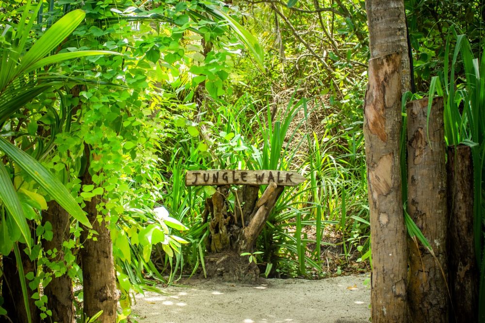 Niva Dhigali Maldives (ex. Dhigali Maldives) 5*