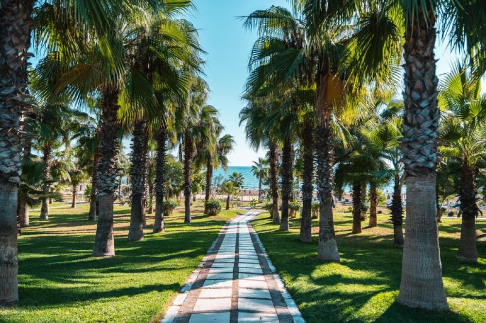 Sural Resort 5*