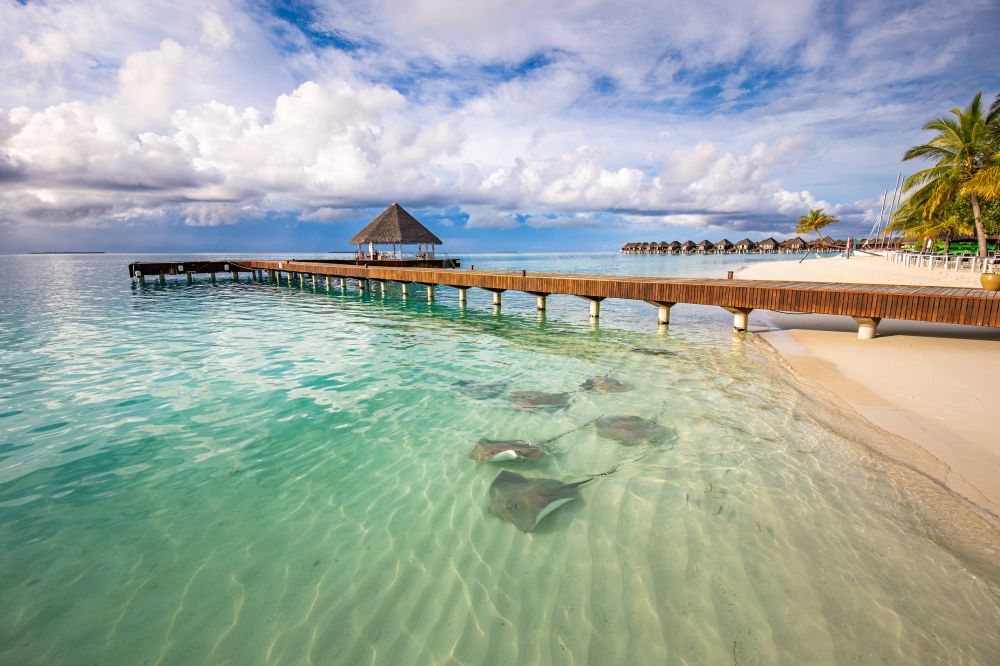 Sun Siyam Vilu Reef 5*