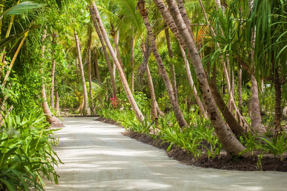 Dusit Thani Maldives 5*