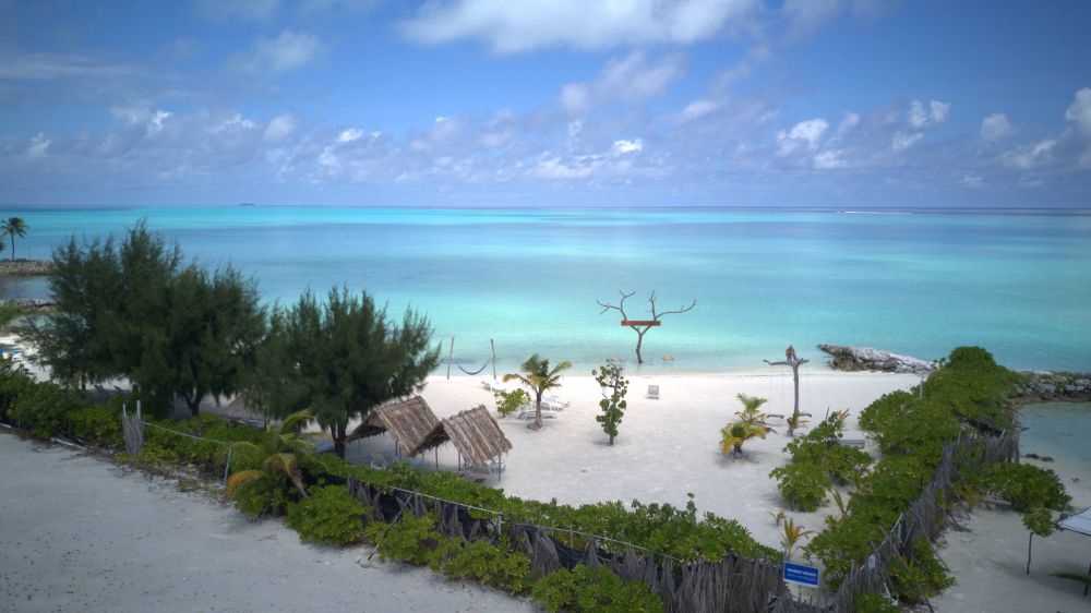 Pavona Maldives 