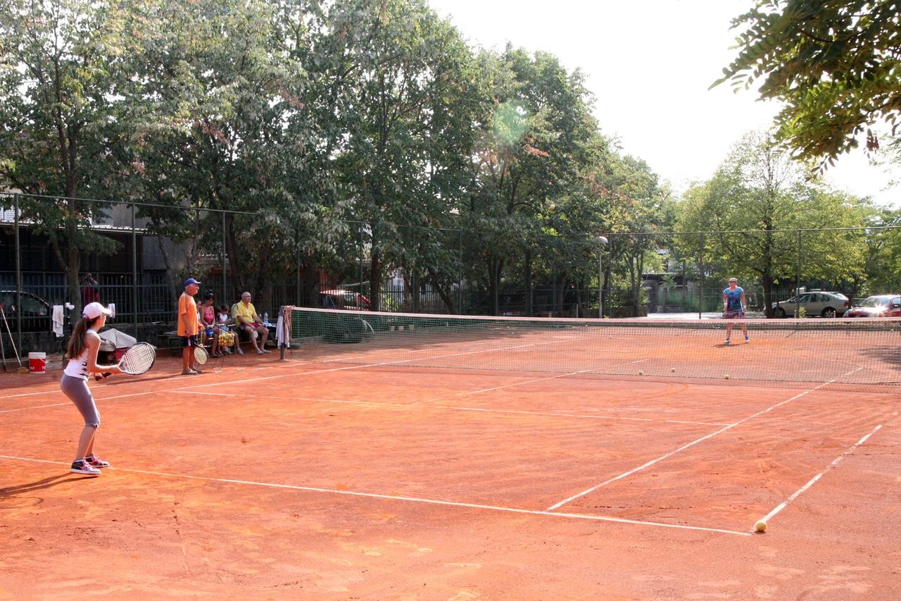 Kamelija 2*