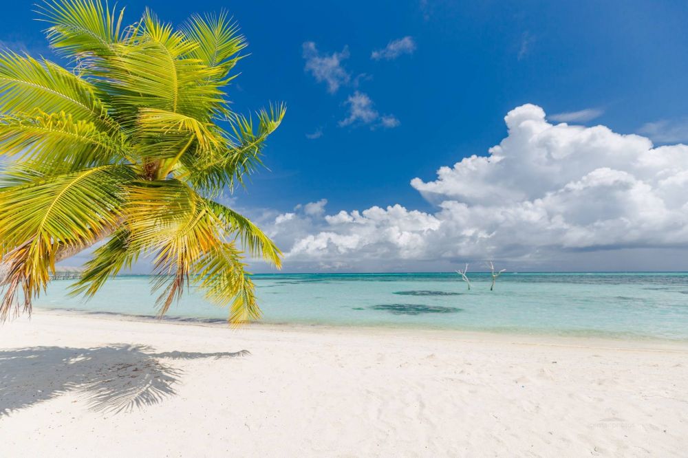 LUX* South Ari Atoll 5*
