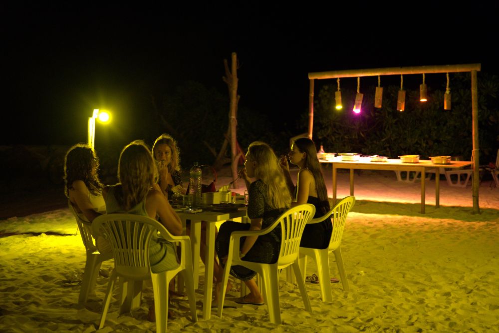Pavona Maldives 