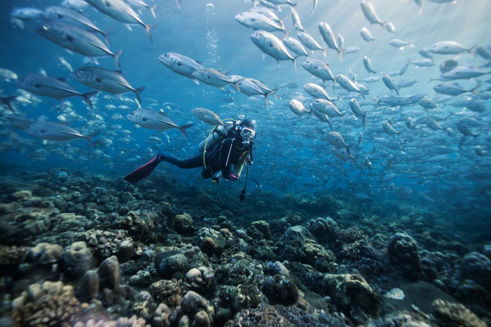Dusit Thani Maldives 5*