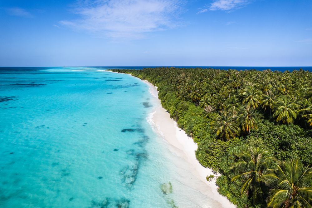 Island Luxury Dive Hotel 