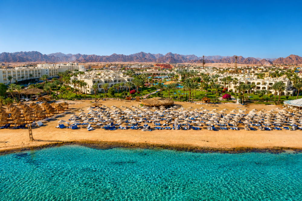 Regency Plaza Aqua Park & Spa Resort 5*