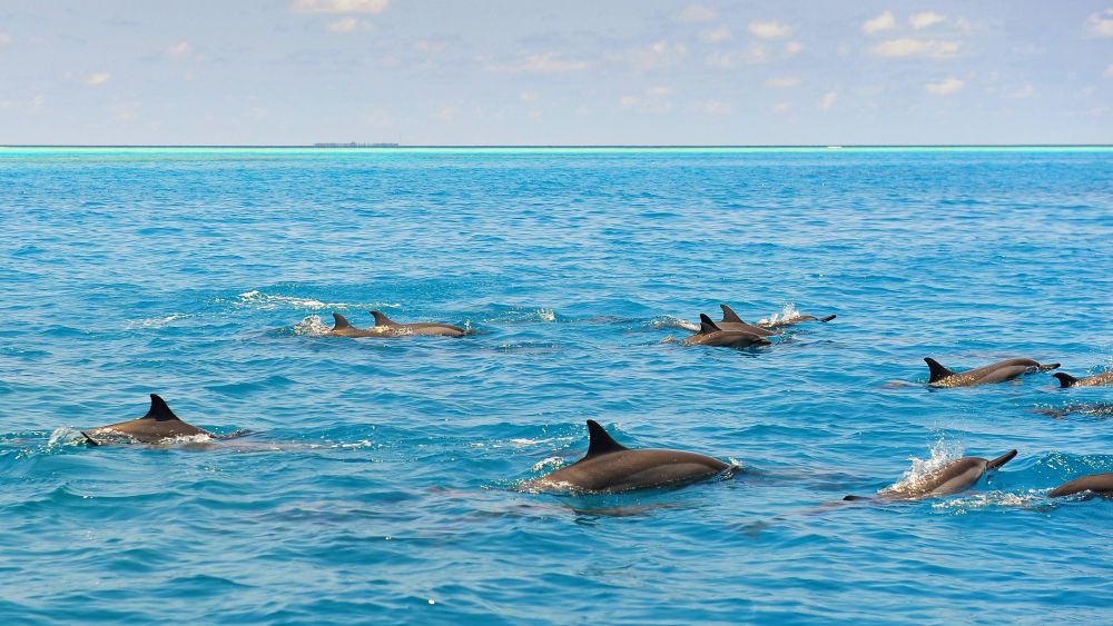 Rah Gili Maldives 5*