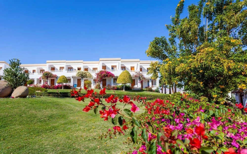 Club Reef Hotel 4*