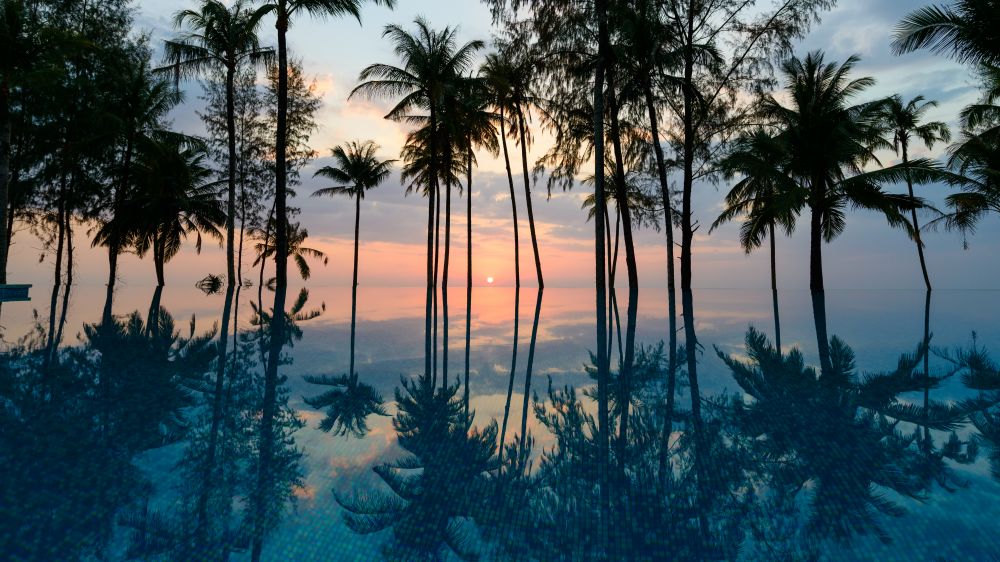 The Haven Khao Lak | Adults Only 12+ 5*