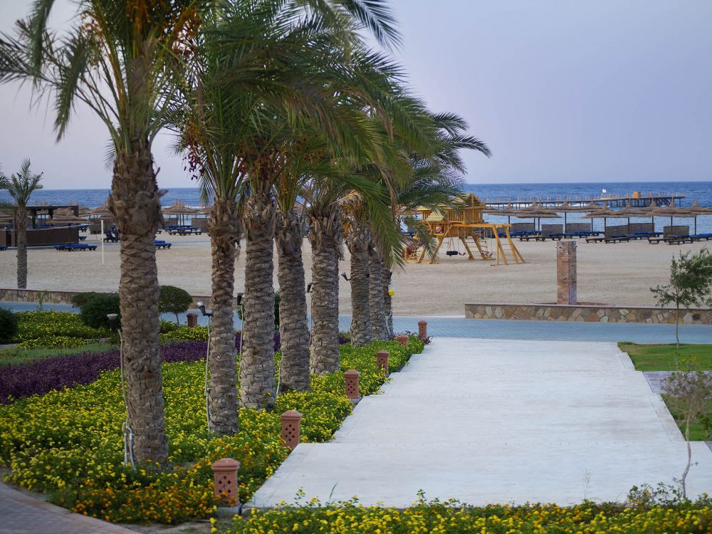 Novotel Marsa Alam 4*