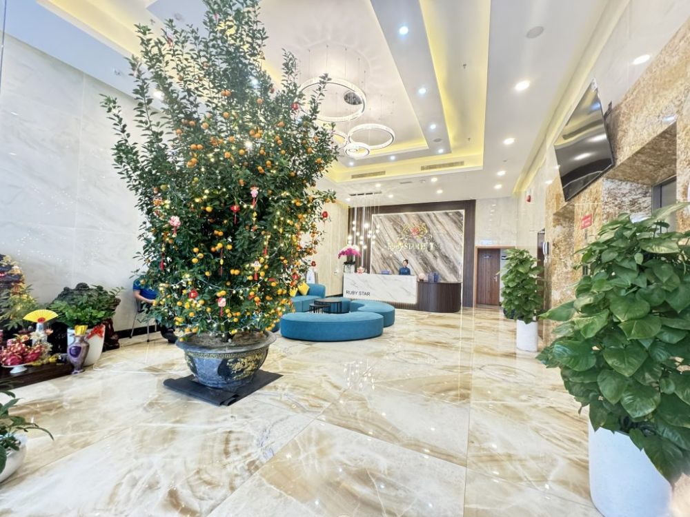 Ruby Star Da Nang Hotel 3*