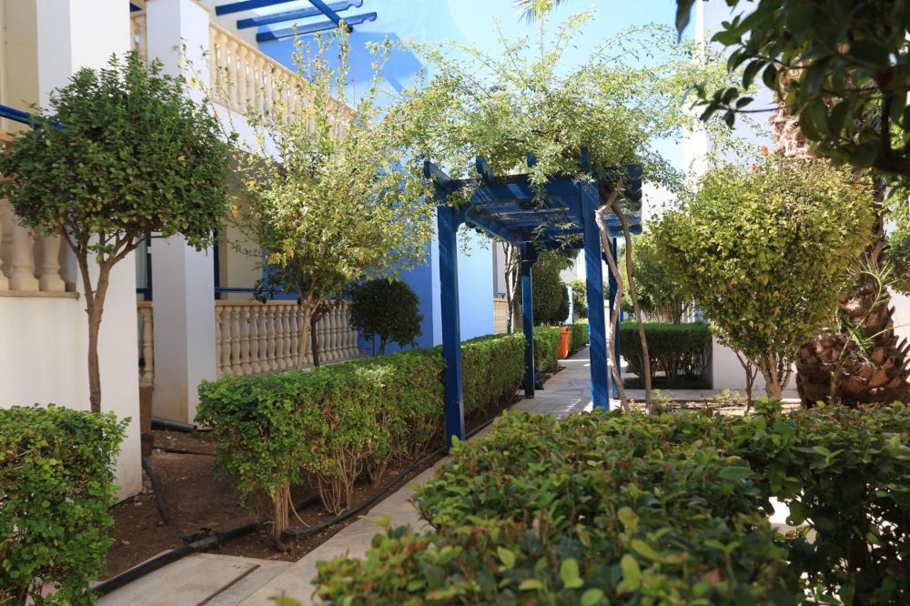 Eleni Holiday Village Coral Bay 4*
