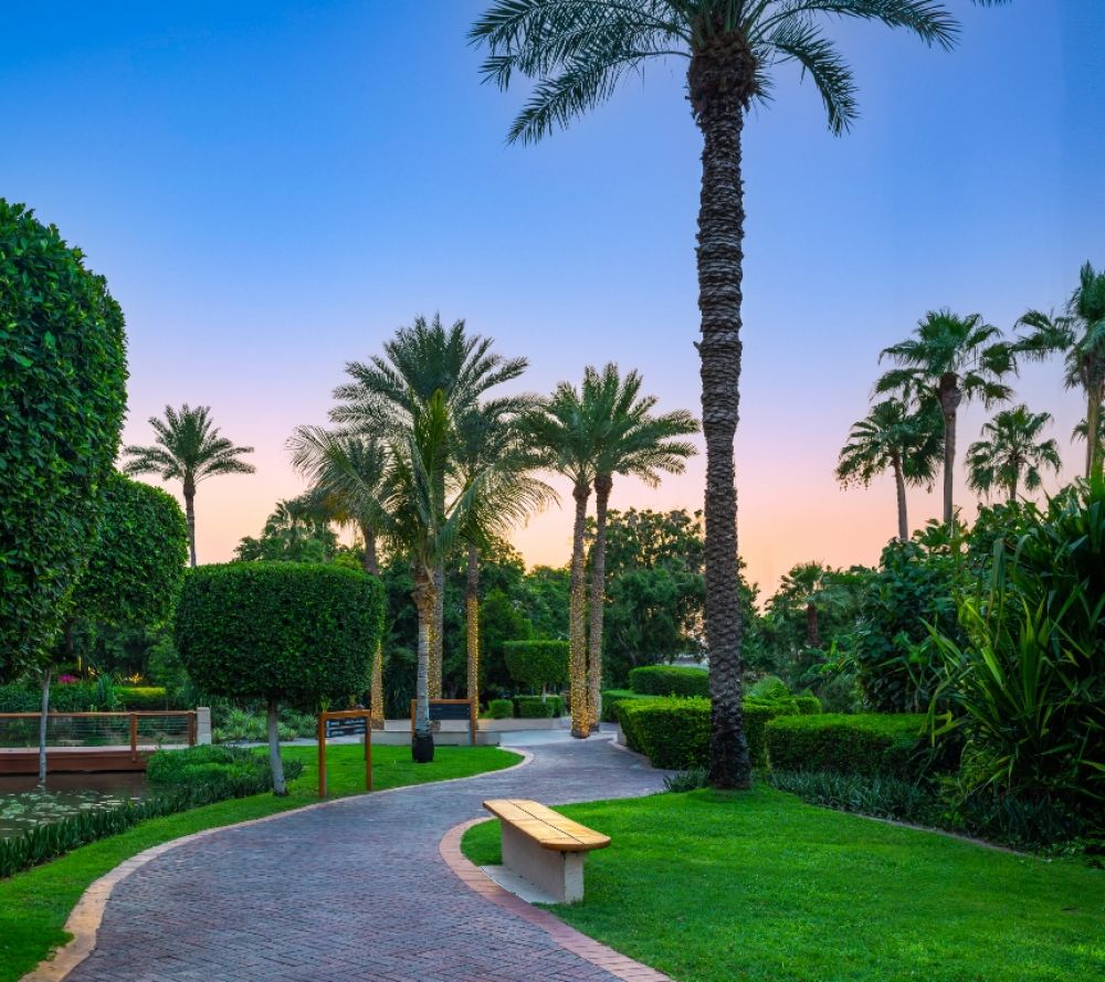 Grand Hyatt Dubai Resort and Waterpark 5*