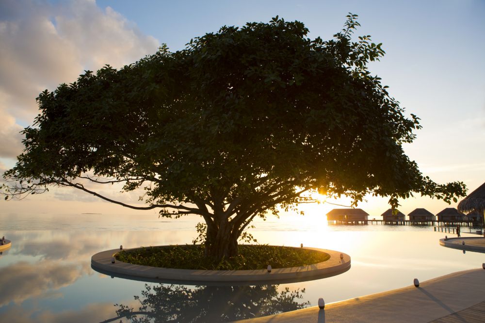 Dusit Thani Maldives 5*