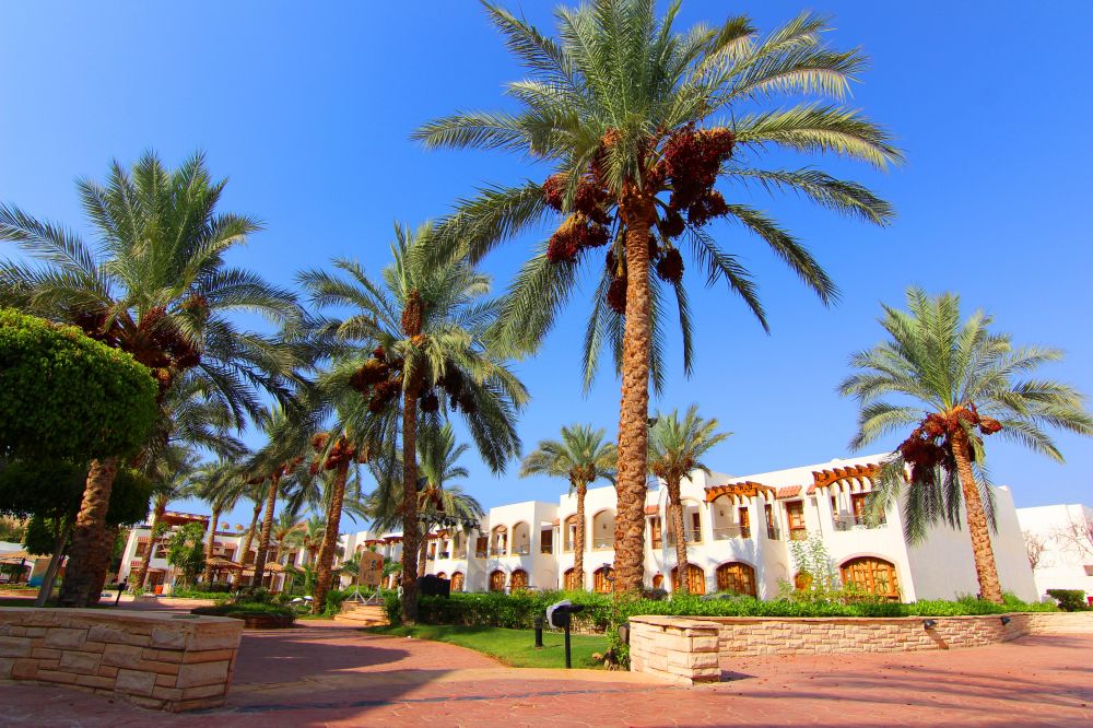 Coral Hills Resort 3*