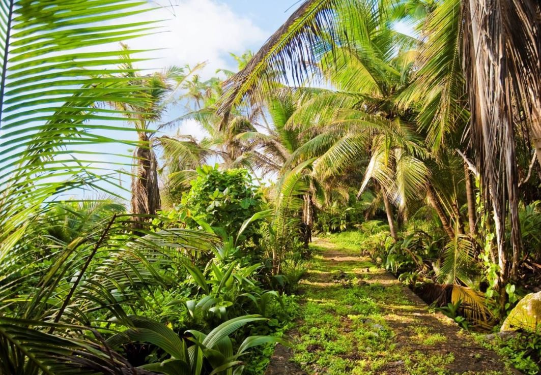 Niva Labriz Seychelles (ex.Hilton Seychelles Labriz Resort & Spa) 5*