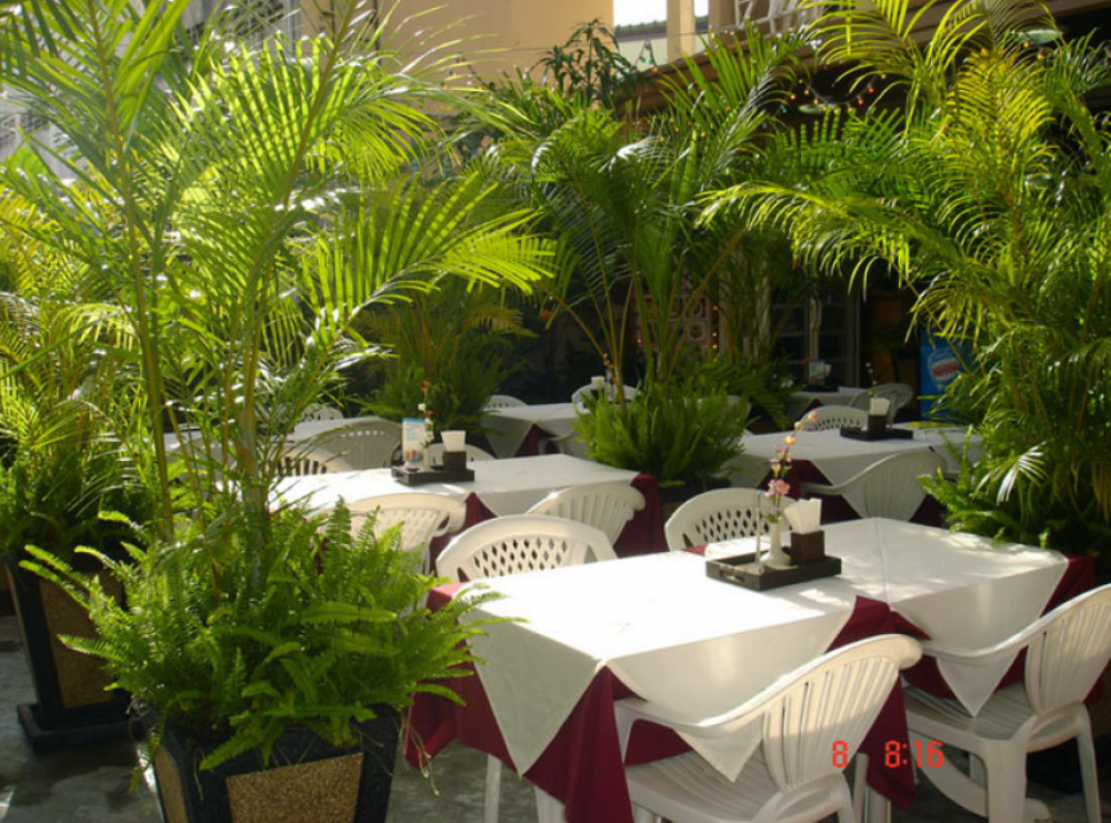 Lamai Guesthouse 2*