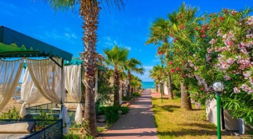 Club Wasa Holiday Village 4*