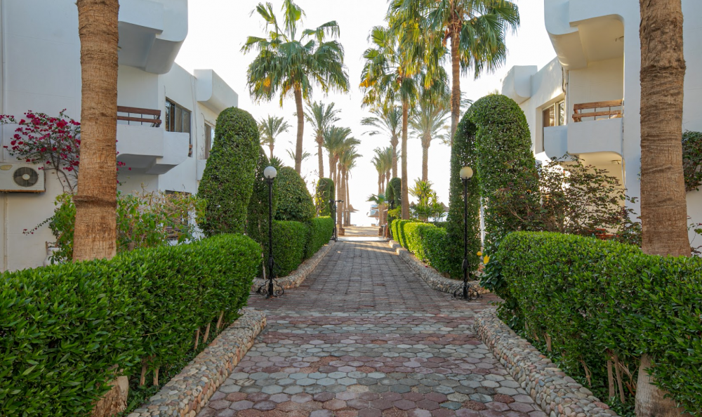 Marlin Inn Resort 4*