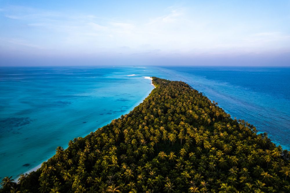 Island Luxury Dive Hotel 