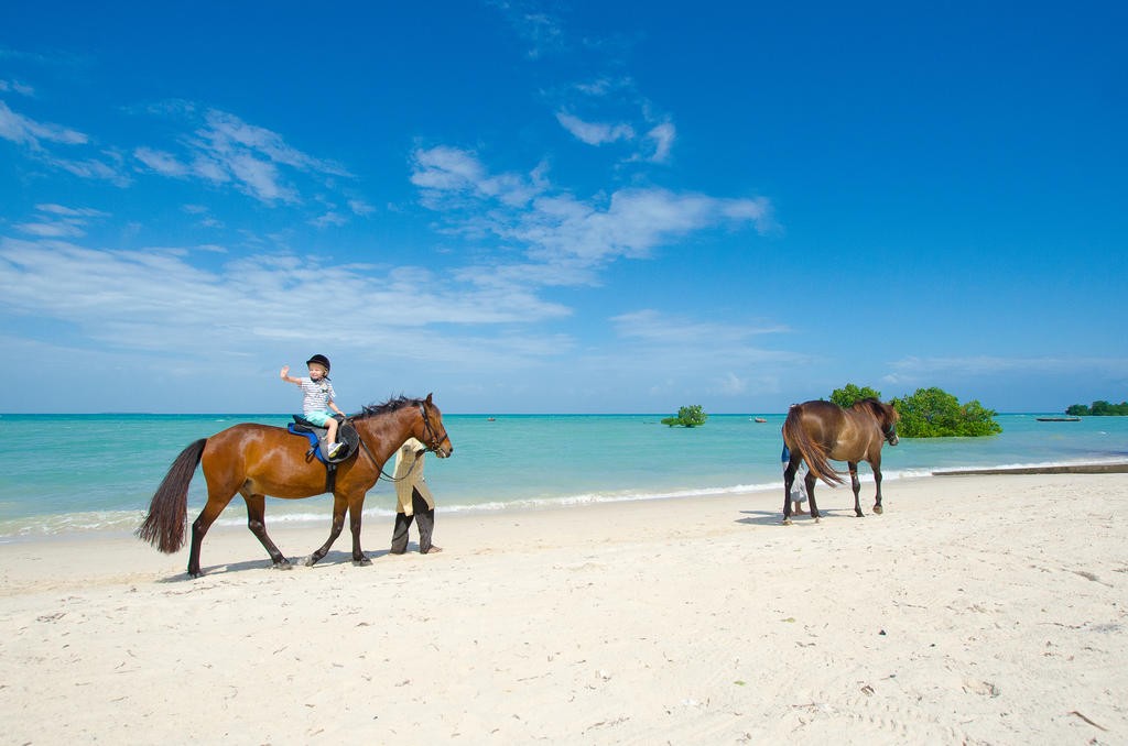 Sea Cliff Resort & Spa 5*