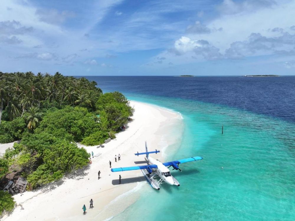 WINGS By Hawks Hotels 3*