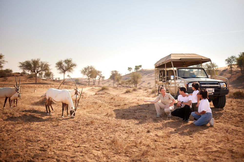 The Ritz Carlton Ras Al Khaimah Al Wadi Desert 5*