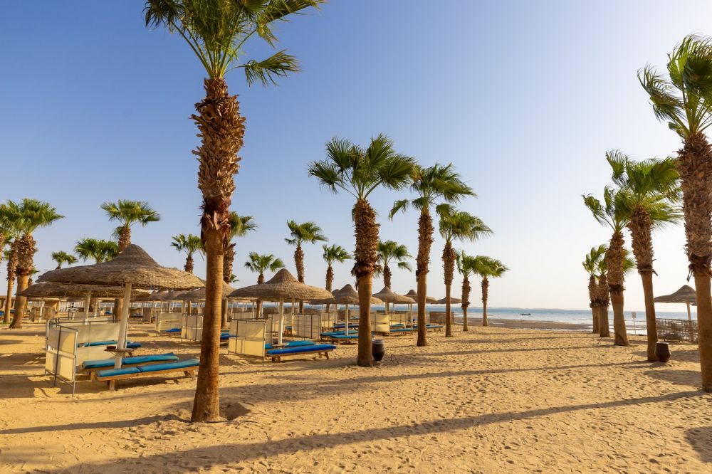 Amwaj Beach Club Resort (ex. Albatros Beach Club Abu Soma) 4*