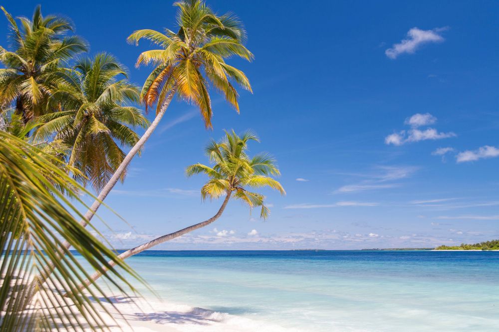 Dhonfulhafi Beach View & SPA 