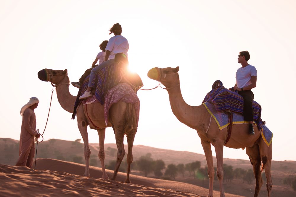 The Ritz Carlton Ras Al Khaimah Al Wadi Desert 5*