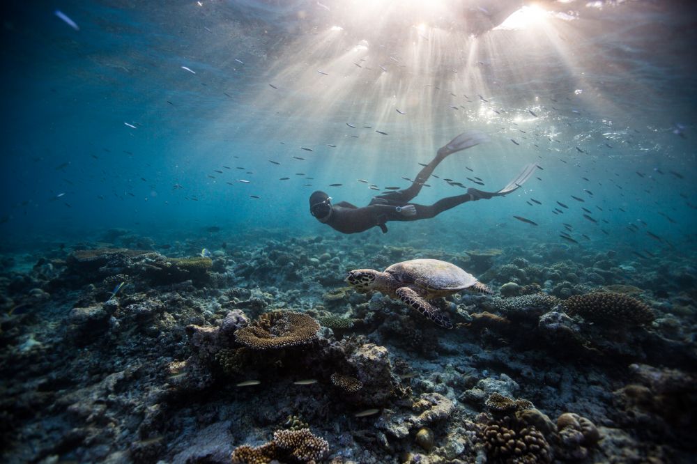 Dusit Thani Maldives 5*