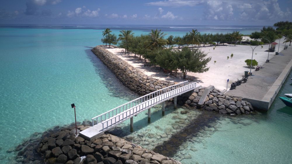 Pavona Maldives 