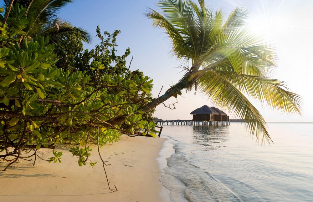 LUX* South Ari Atoll 5*