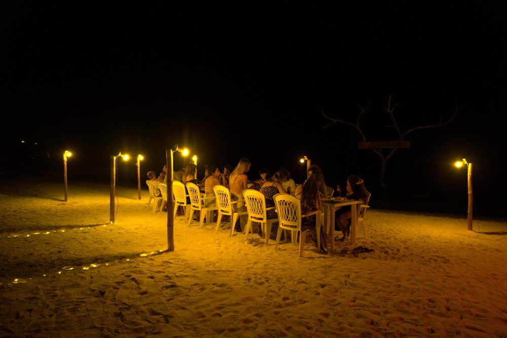 Pavona Maldives 
