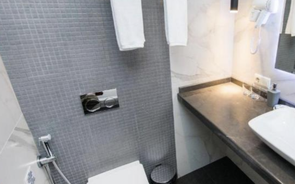 Deluxe, River View Hotel Tbilisi (ex. Just Inn Tbilisi) 4*