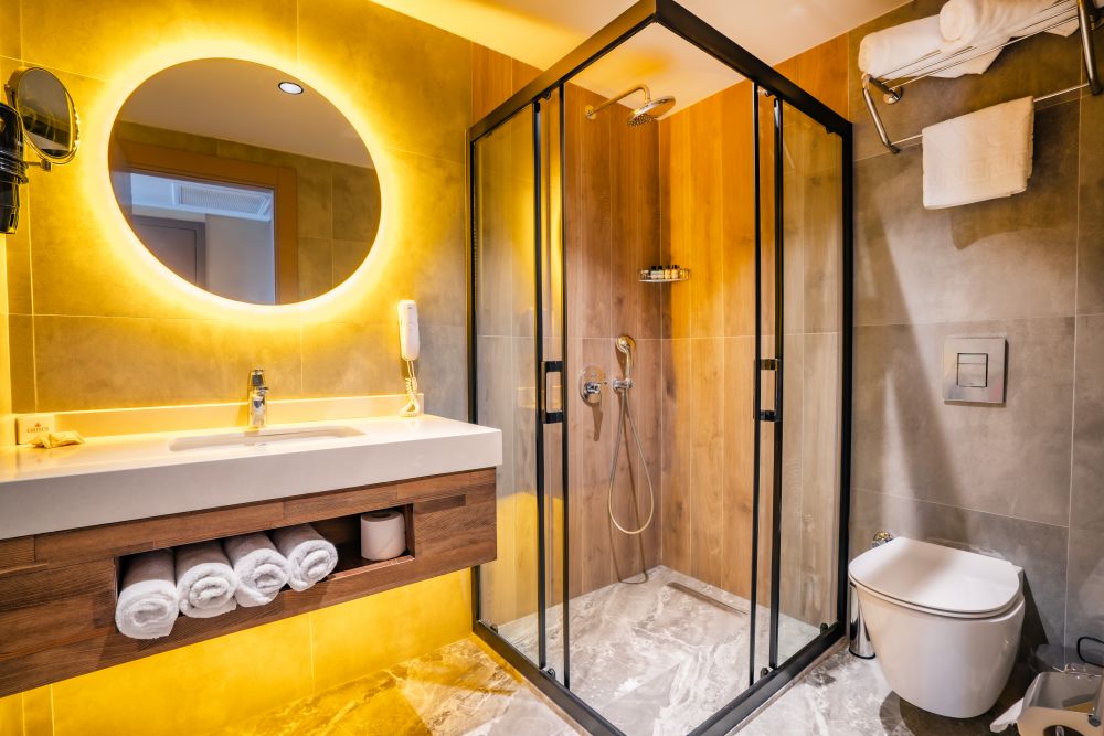 Standard, Orfeus Armin Hotel 4*