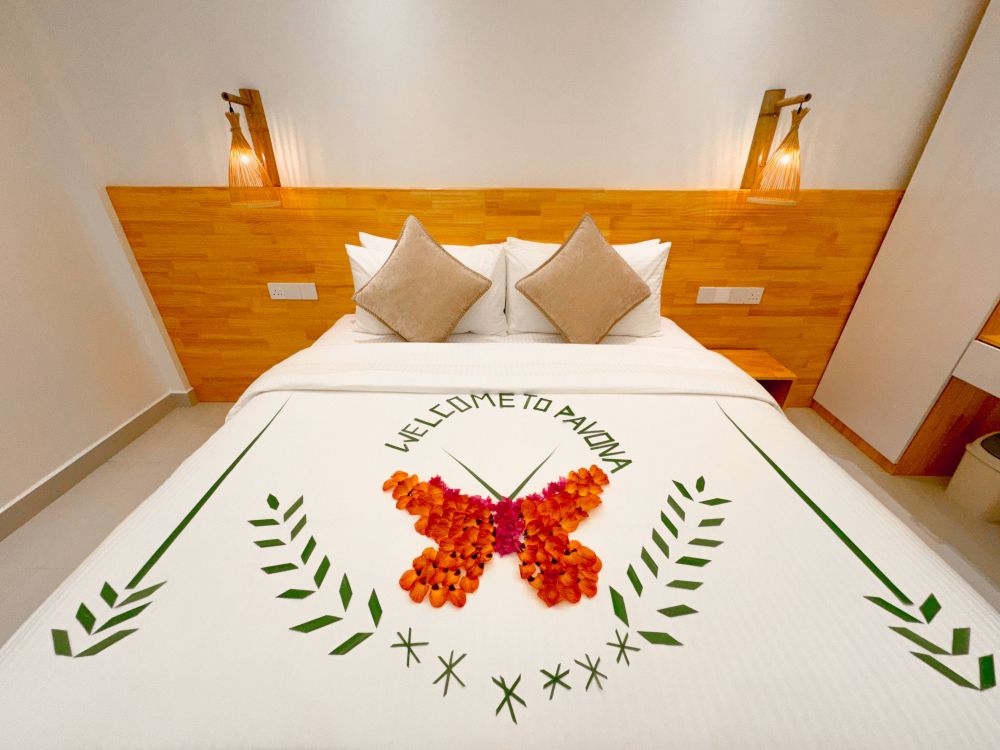 Double or Twin Room (No Window), Pavona Maldives 