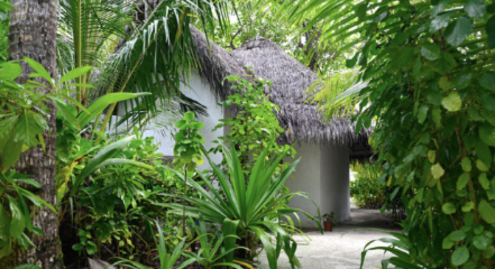 Beach Bungalow, Makunudu Island | Adults Only 10+ 4*