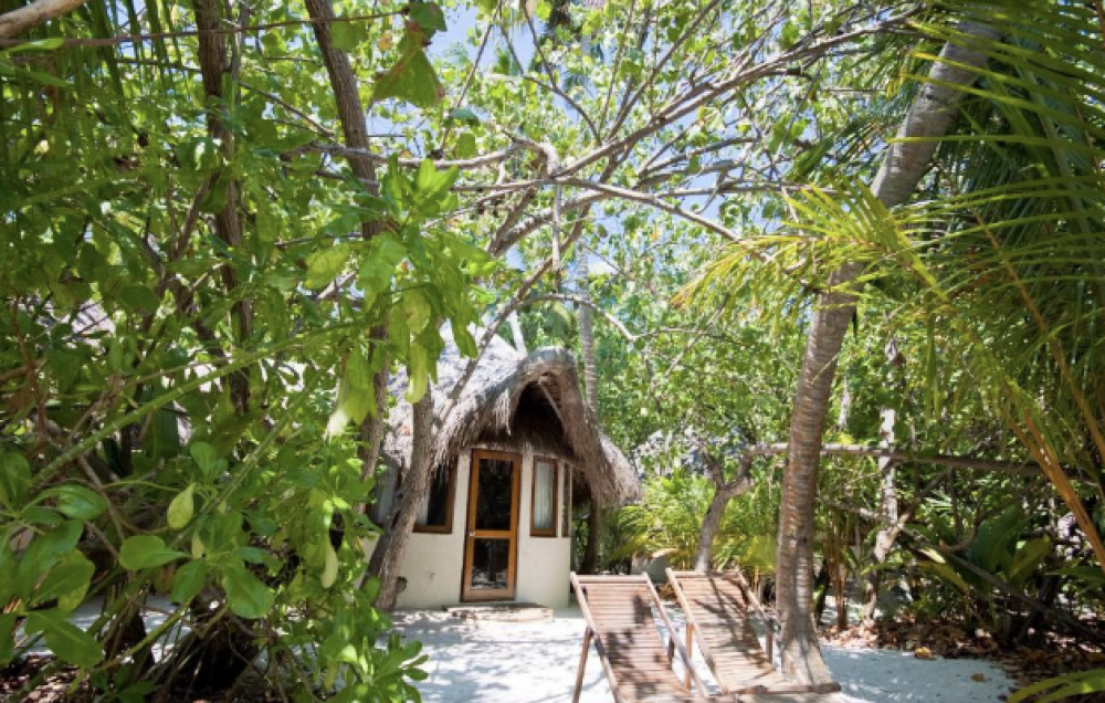 Deluxe Bungalow, Makunudu Island | Adults Only 10+ 4*