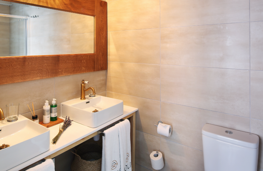 Superior Double/Twin Room, Polis 1907 by Louis Hotels 