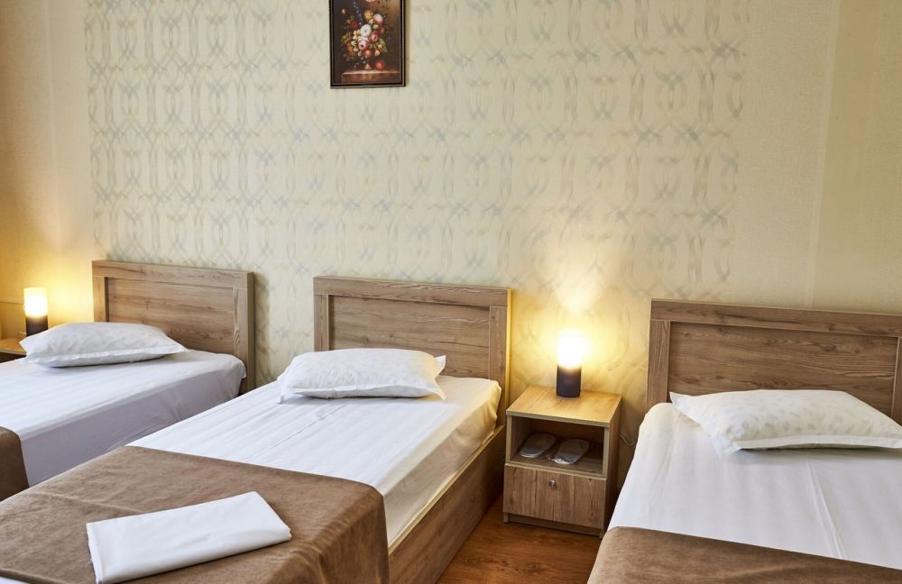 Standard Triple Room, Old Borjomi 3*